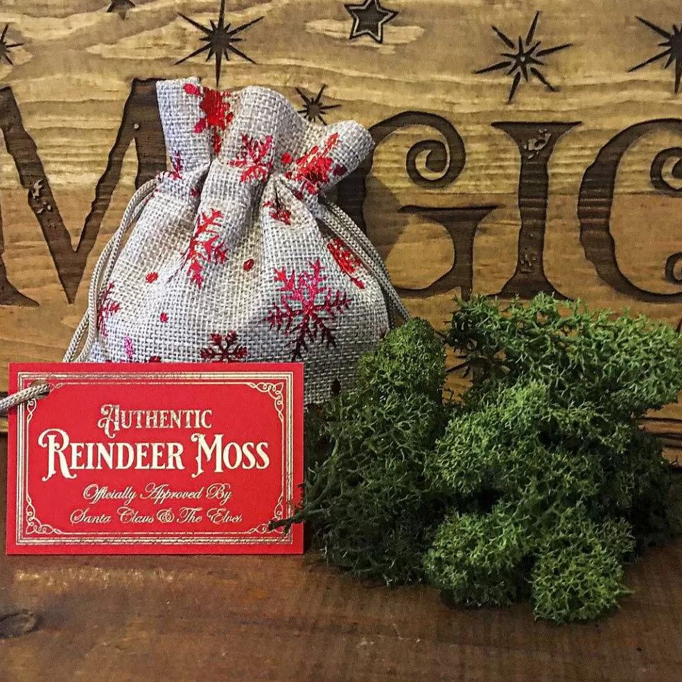 The Christmas Imaginarium Authentic Reindeer Moss / Food For Christmas Eve* Making Christmas Magical