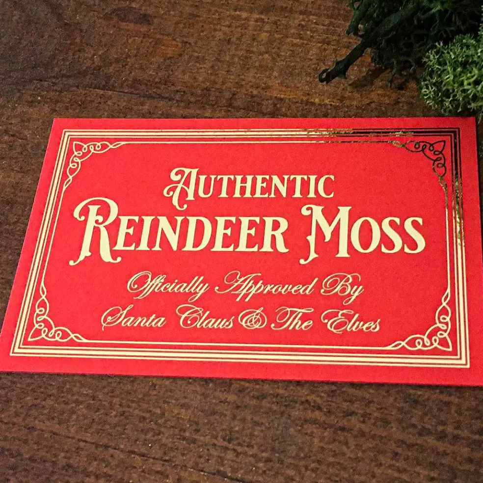 The Christmas Imaginarium Authentic Reindeer Moss / Food For Christmas Eve* Making Christmas Magical